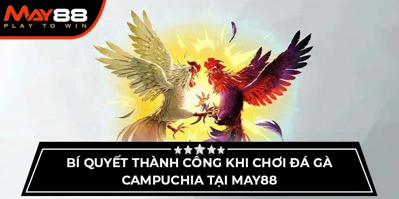 đá gà Campuchia